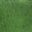 Color swatch image