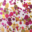 Color swatch image